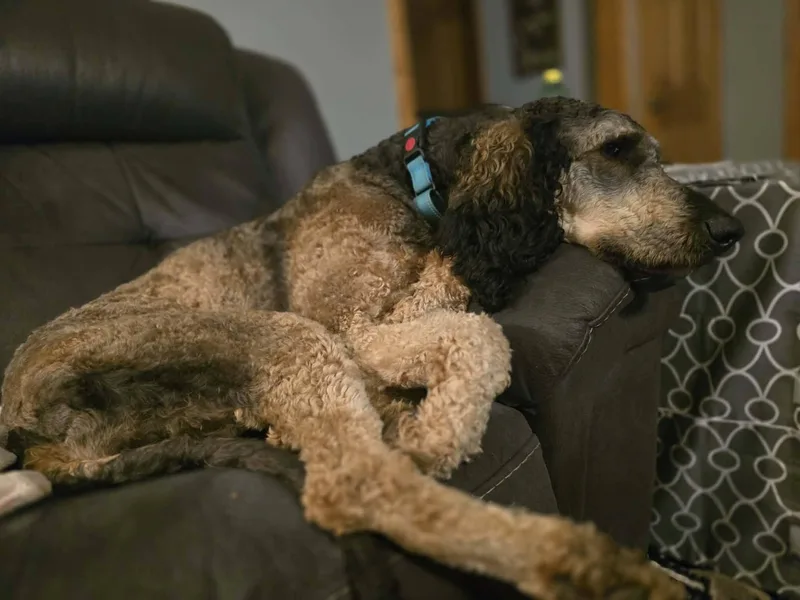 Oaklee thumbnail 3