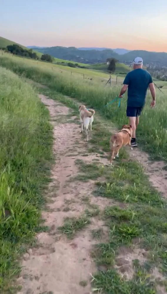 Lucky Weston thumbnail 3