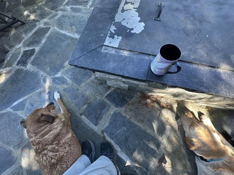 Lucky Weston thumbnail 6