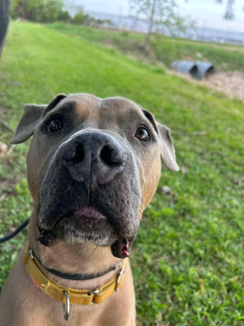 Garfunkel thumbnail 3