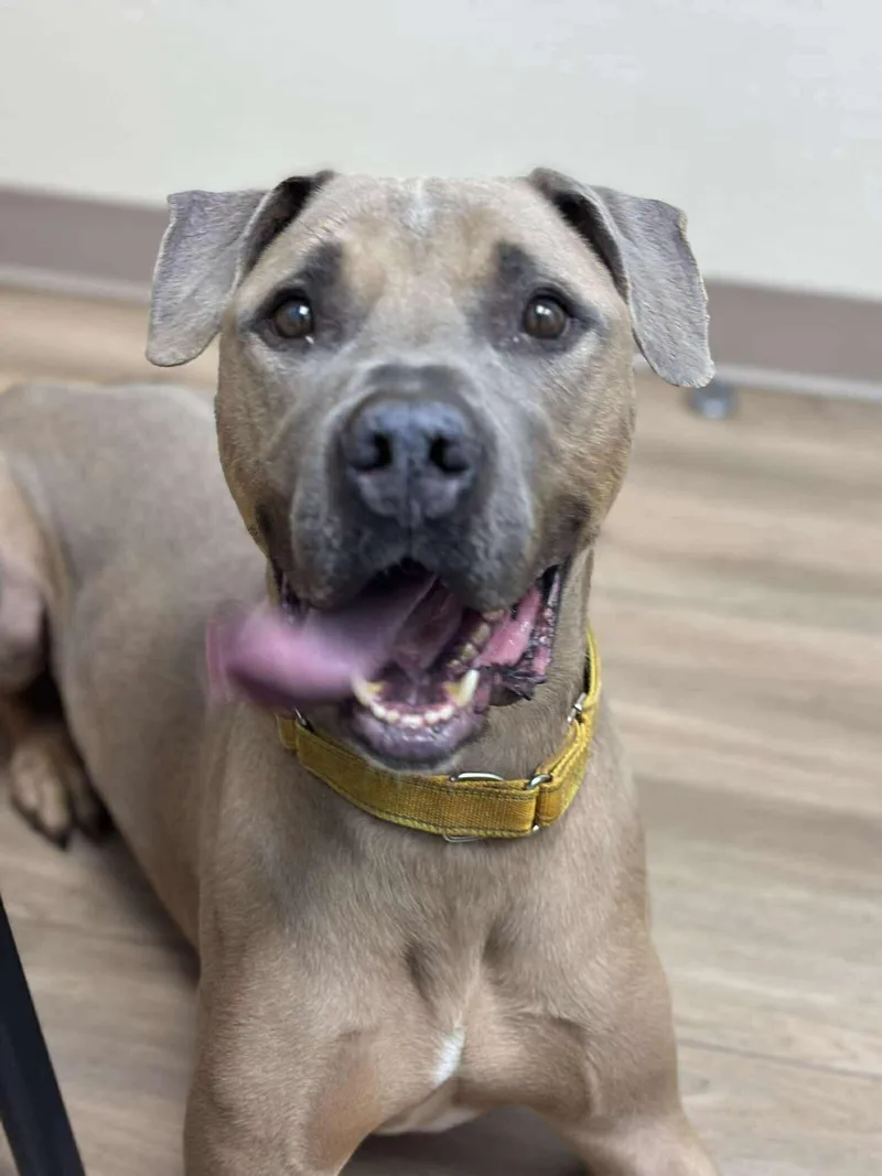 Garfunkel thumbnail 6