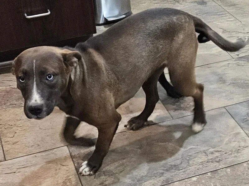 Trouble Twinkle thumbnail 3