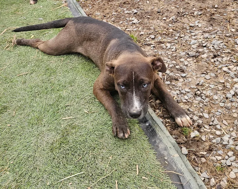 Trouble Twinkle thumbnail 6