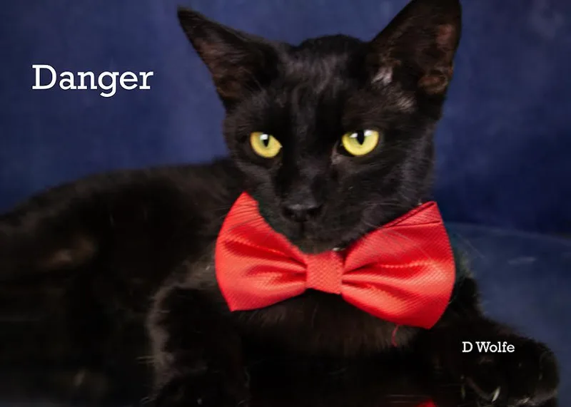 Danger thumbnail 2