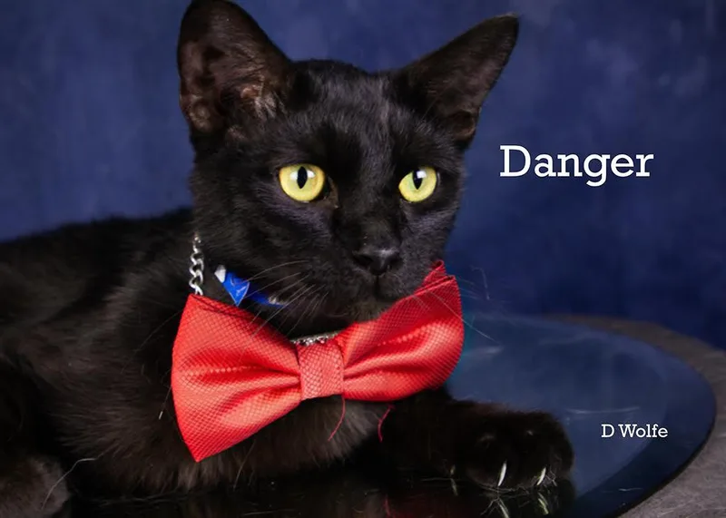 Danger thumbnail 3