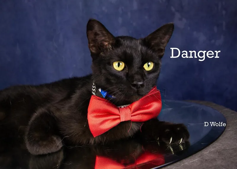Danger thumbnail 4