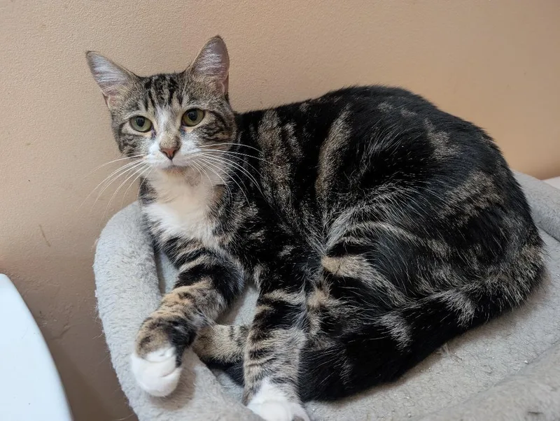 Katerina thumbnail 2