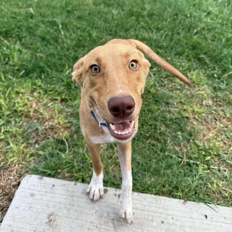 Etta James thumbnail 2