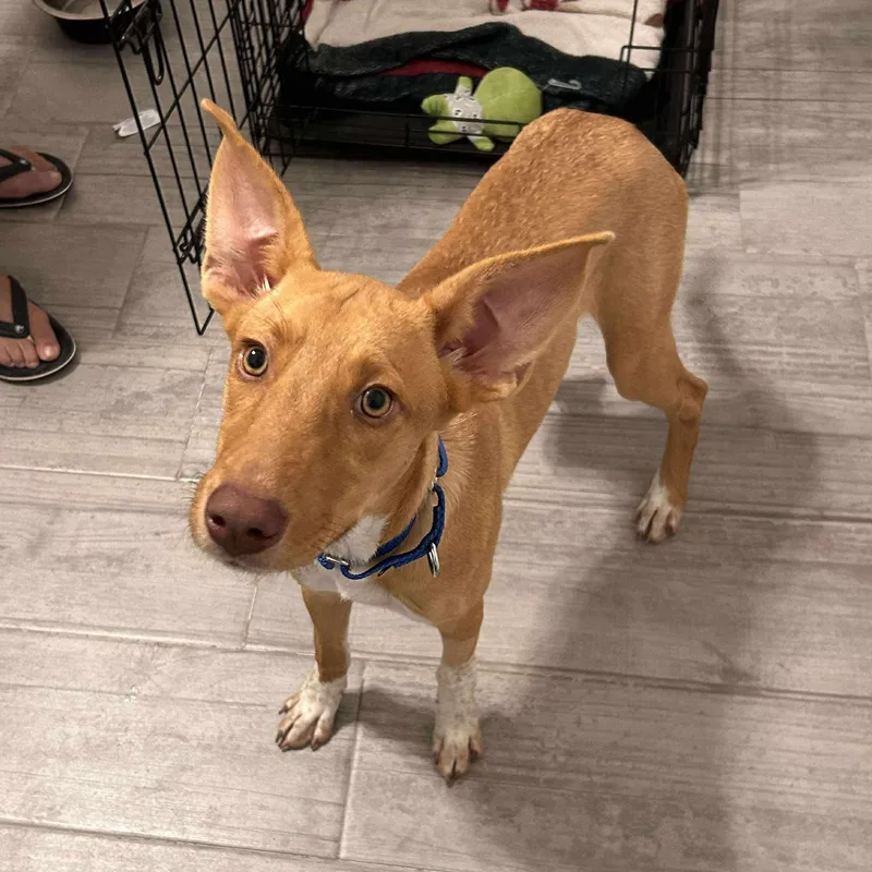 Etta James thumbnail 3