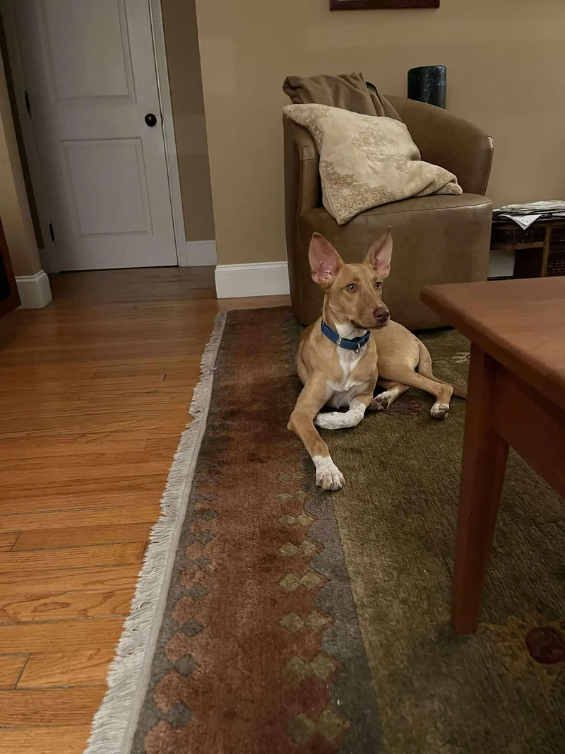 Etta James thumbnail 4