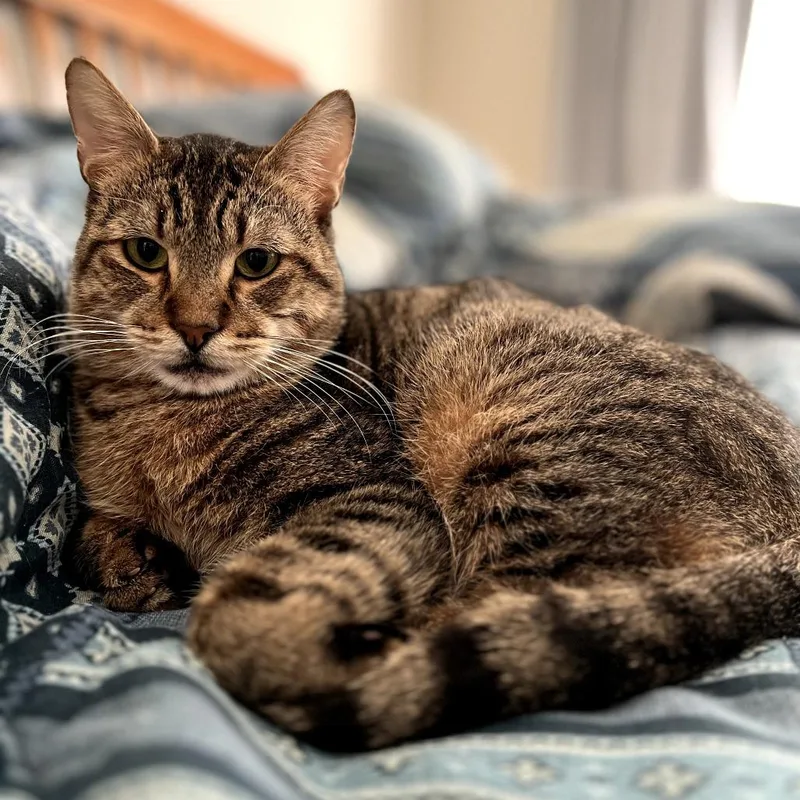 Lucky Lou thumbnail 3