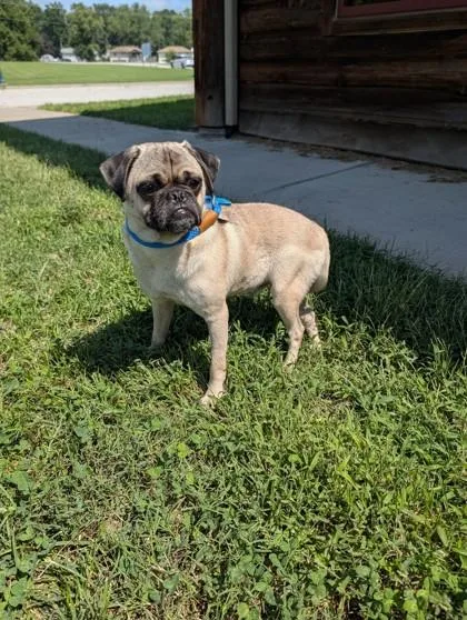 Frank