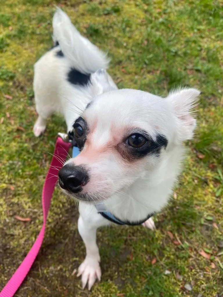 Jose Cuervo thumbnail 2