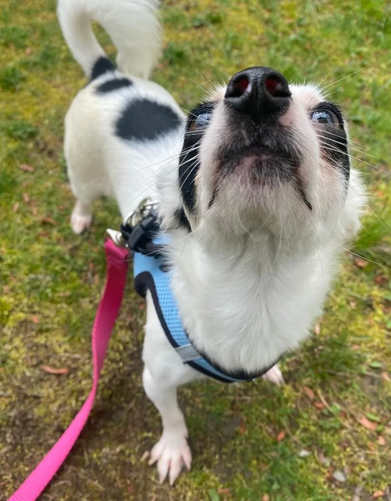 Jose Cuervo thumbnail 4