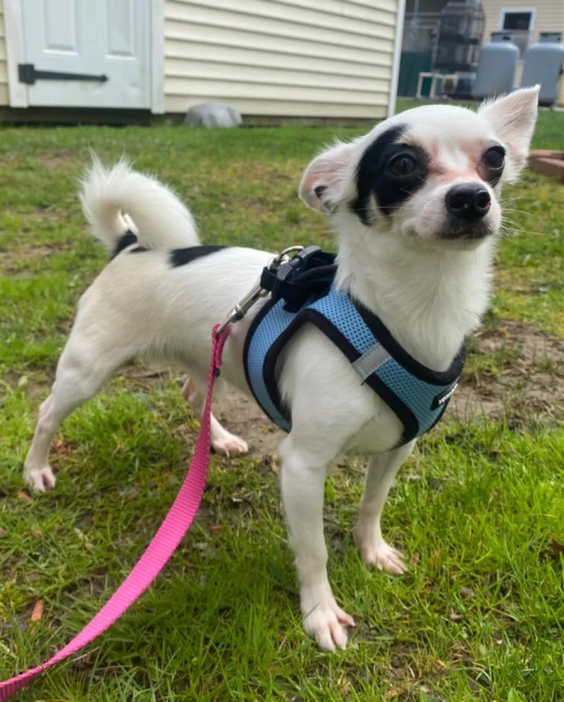 Jose Cuervo thumbnail 5