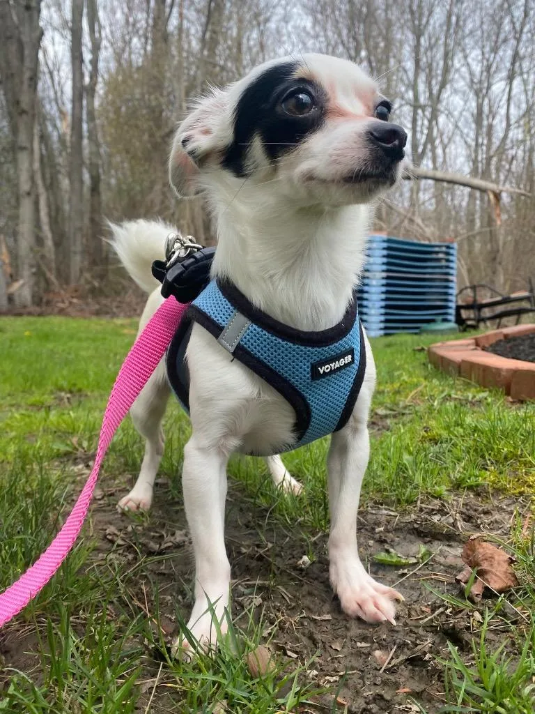 Jose Cuervo thumbnail 6