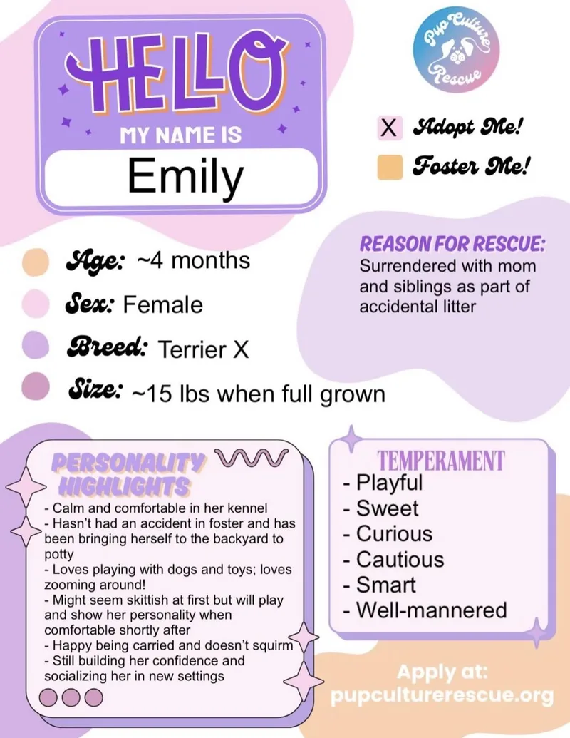 Emily thumbnail 4