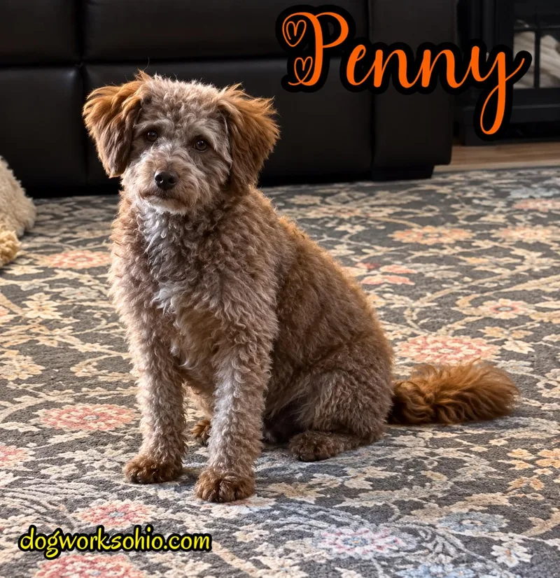 Penny thumbnail 3