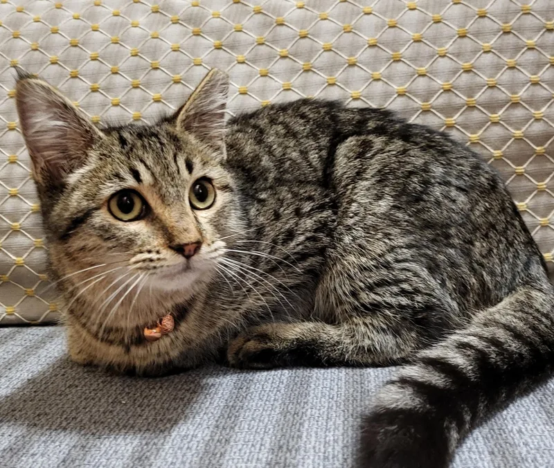 Sophie