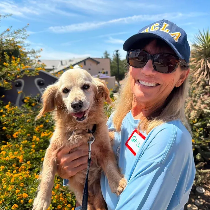 A senior small-sized male White / Cream Dachshund dog named Suga Sinclair for adoption in Ramona, CA