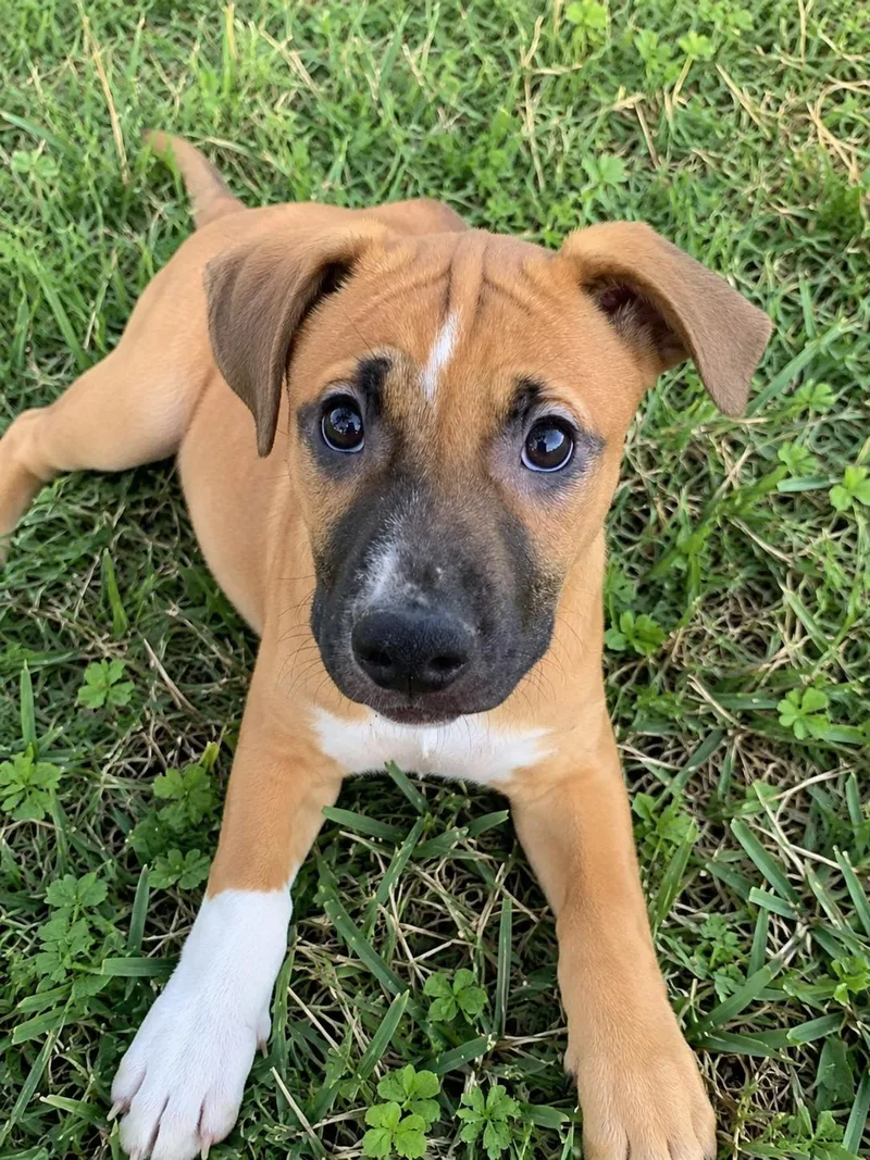 Marigold Faye thumbnail 3