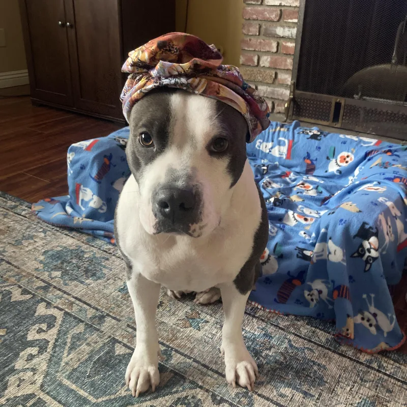 Lil Mama thumbnail 2