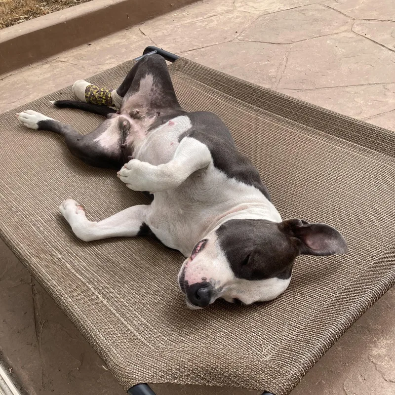 Lil Mama thumbnail 3