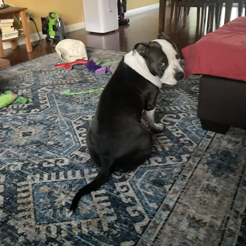 Lil Mama thumbnail 4