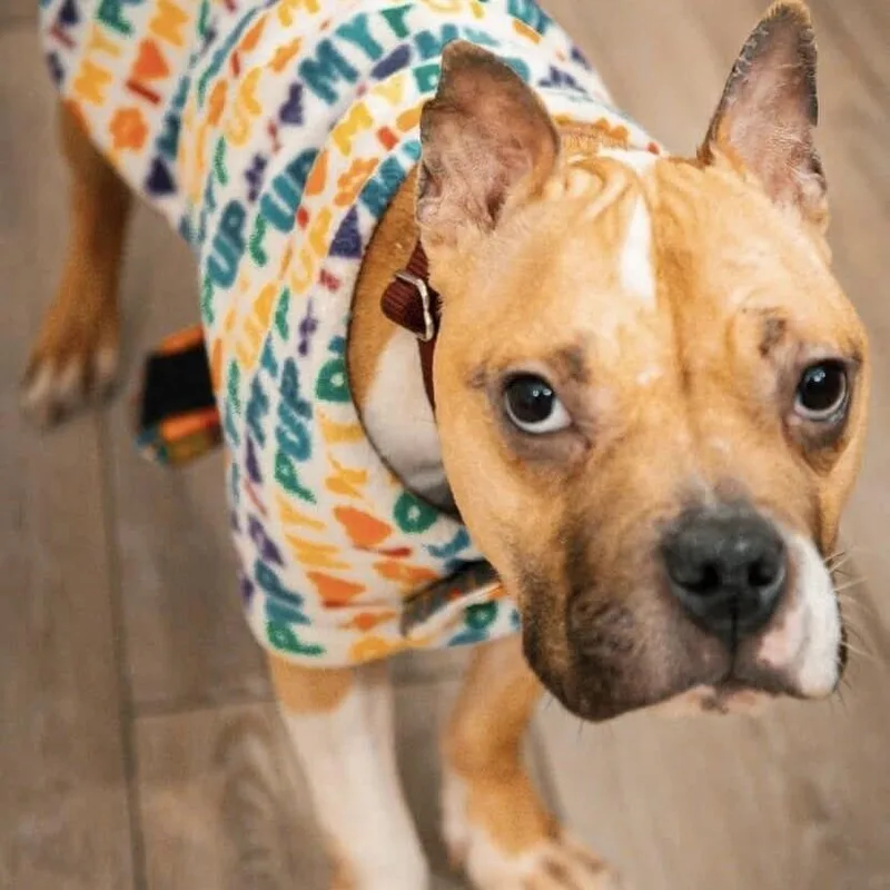 Jade Blossom thumbnail 3