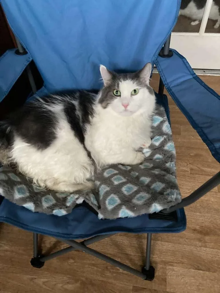 Mirabella And Toby thumbnail 2