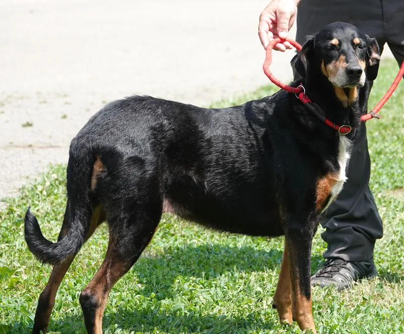 Elsa  Updated Info thumbnail 3