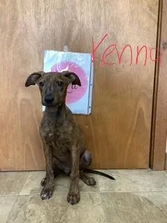 Kenna
