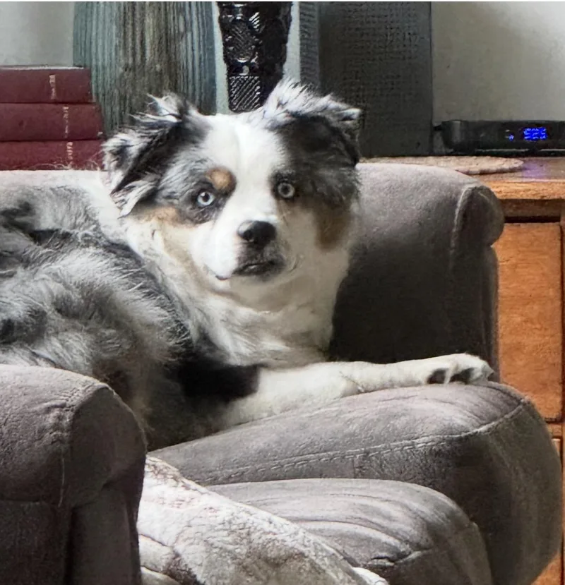 Aspen