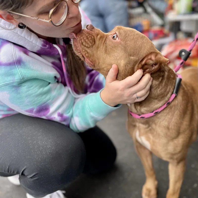 Nala Needs A Forever thumbnail 6