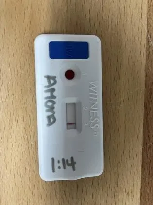 Amora thumbnail 2