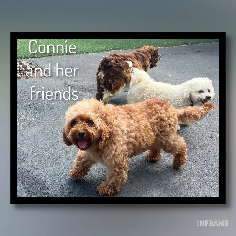 Connie thumbnail 4