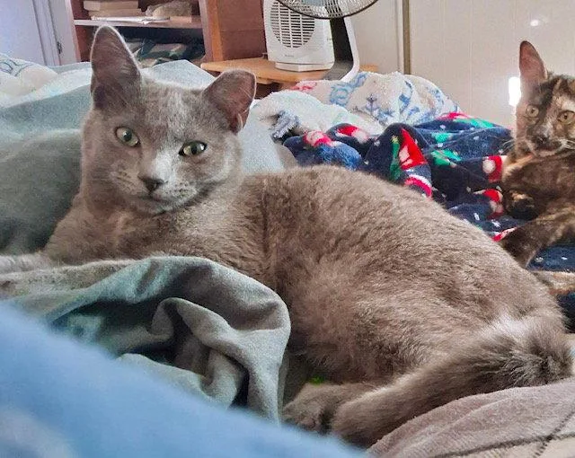 Bonnie & Clyde  thumbnail 2