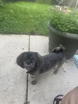 Chewy