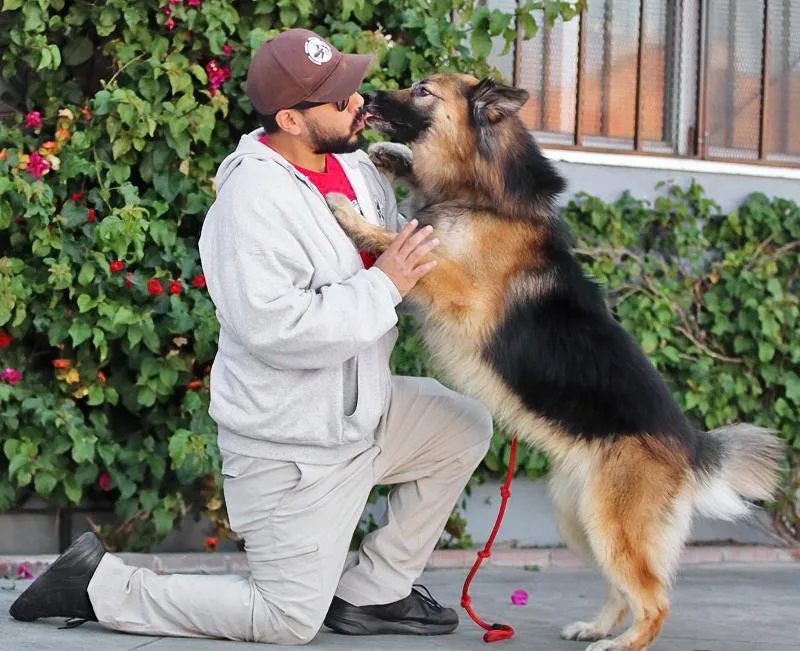 Kudo Von Kempen thumbnail 3