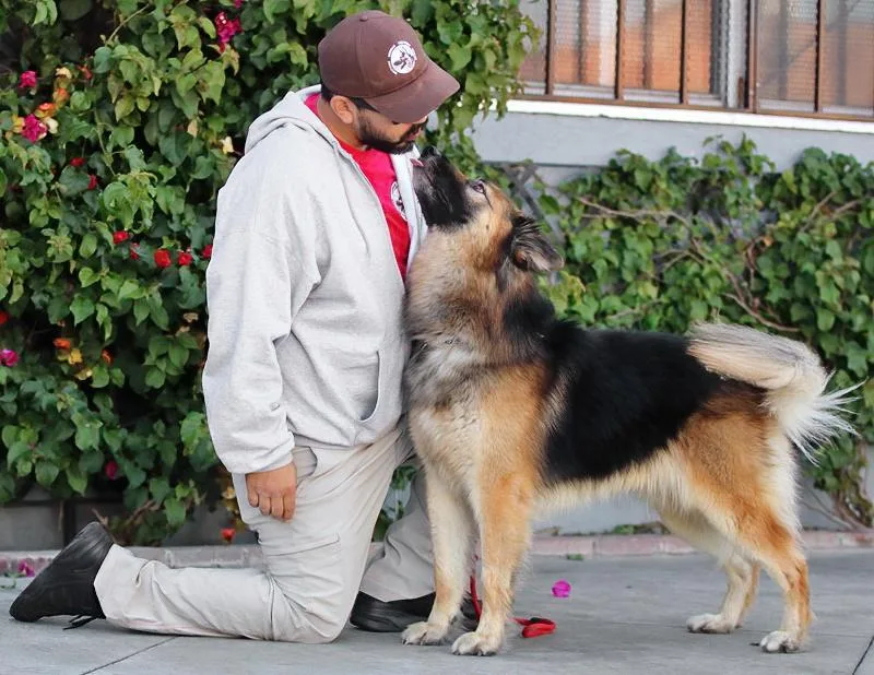 Kudo Von Kempen thumbnail 4