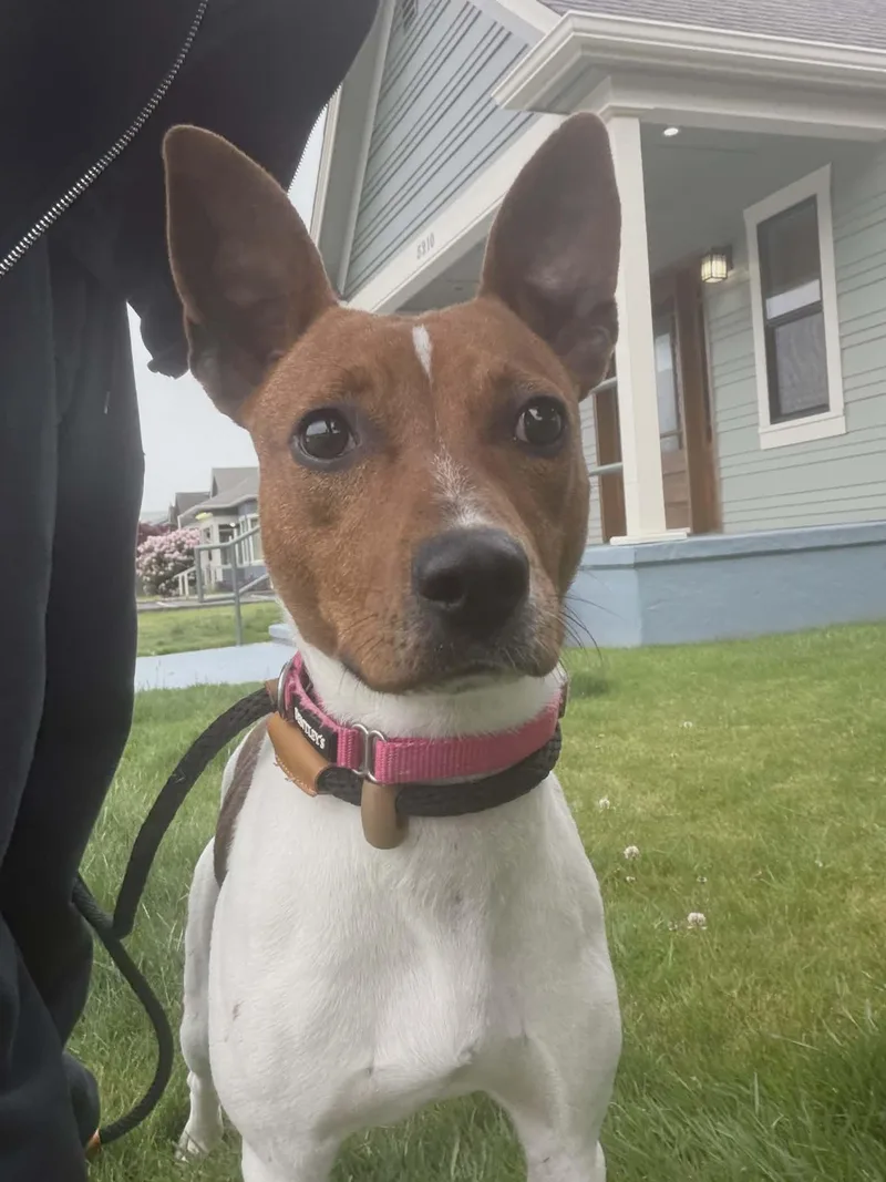 Maizey thumbnail 2