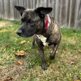 Smelly Nelly thumbnail 3