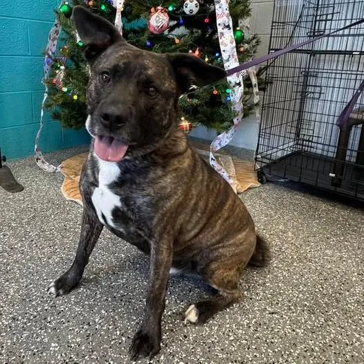 Smelly Nelly thumbnail 4