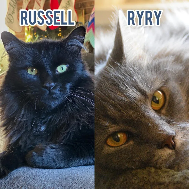 Russell with RyRy thumbnail 3