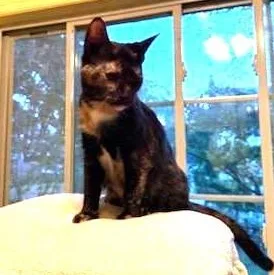 Haiseley thumbnail 3