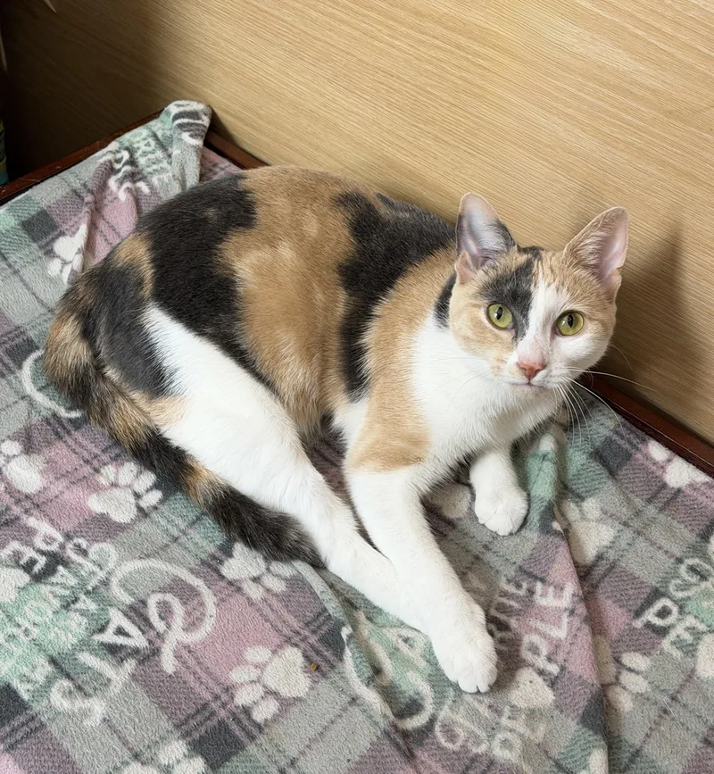 Minnie