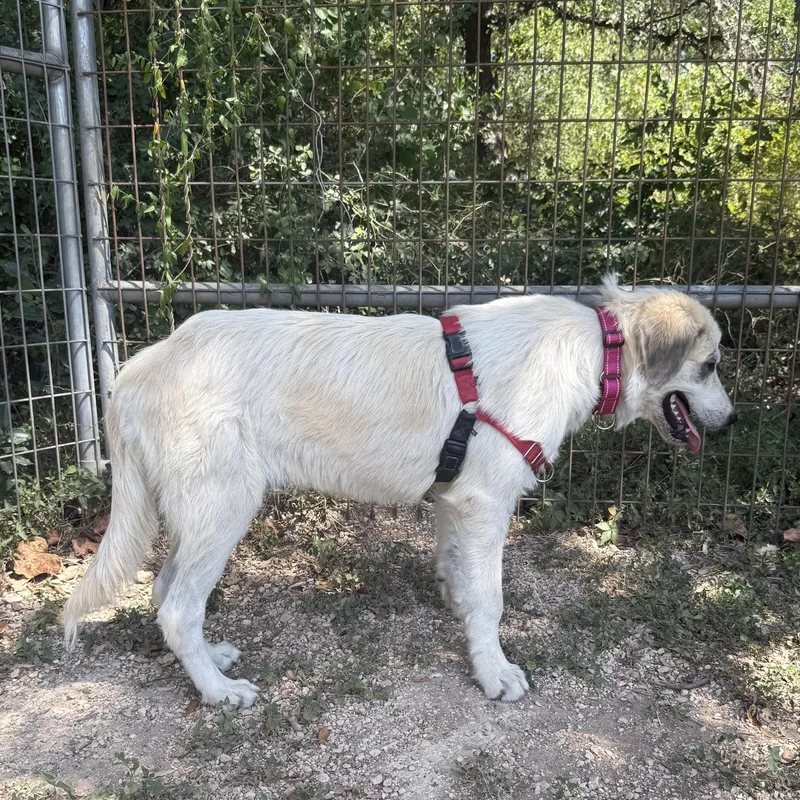 Summer thumbnail 2