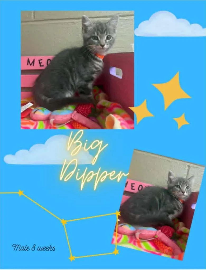 Big Dipper