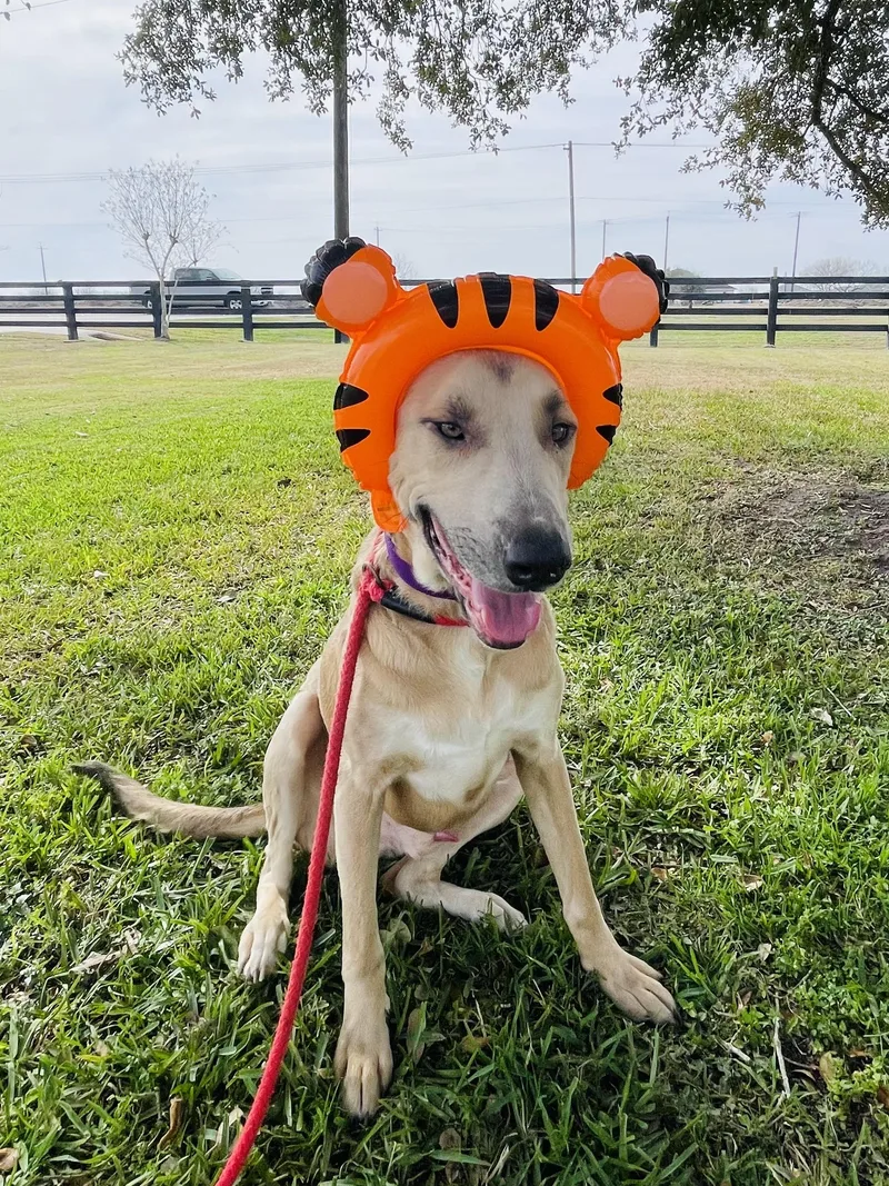 Mick Aka Boss thumbnail 3