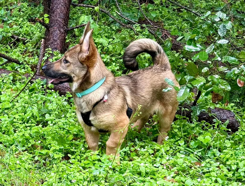 Marleymarie thumbnail 2